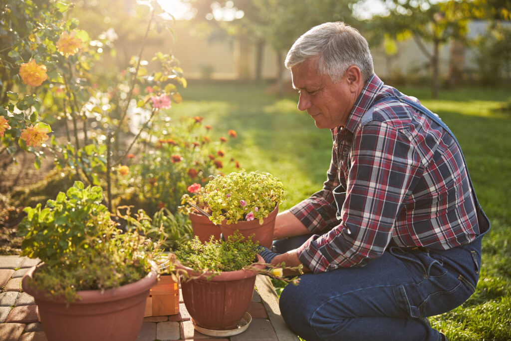 Creative and Artistic Senior Citizens Hobbies